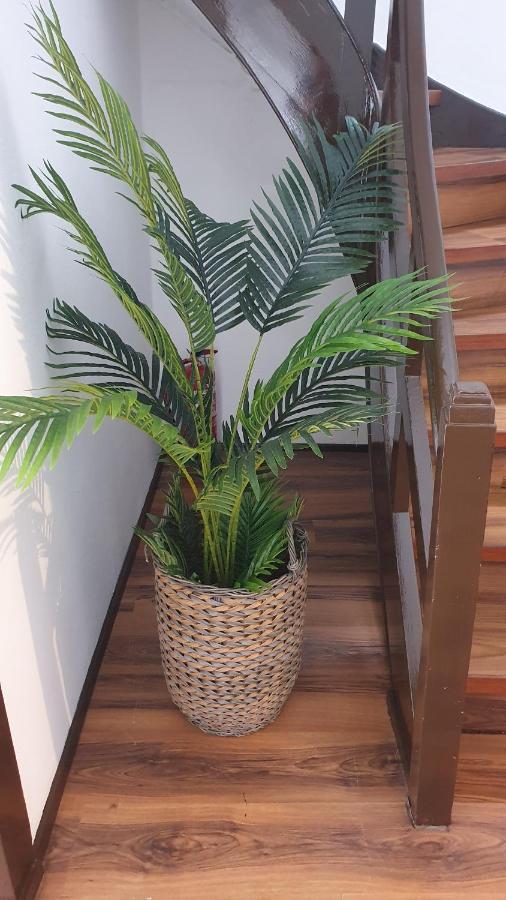 Casa Da Avo Julia Appartamento Luso  Esterno foto
